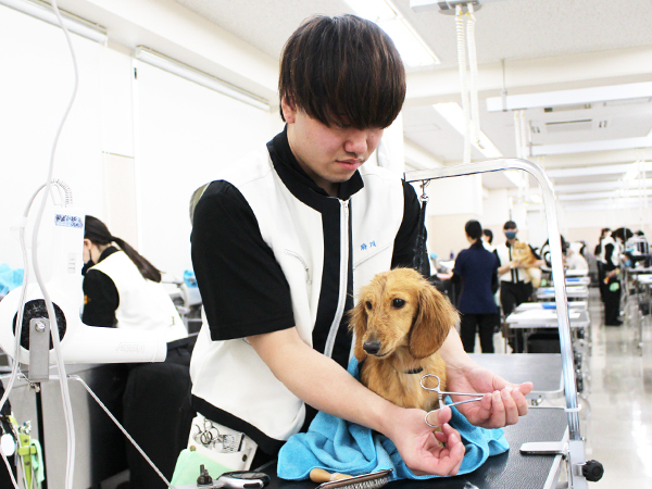 シャンプーの技術を確認♪